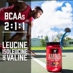 BSN Amino‑X Endurance & Recovery – BCAA & Amino Asit Karışımlı Hızlı Kas Onarım Destek Ürünü