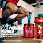 BSN CellMass 2.0 – Kreatin & Glutamin Matrix Recovery Takviyesi