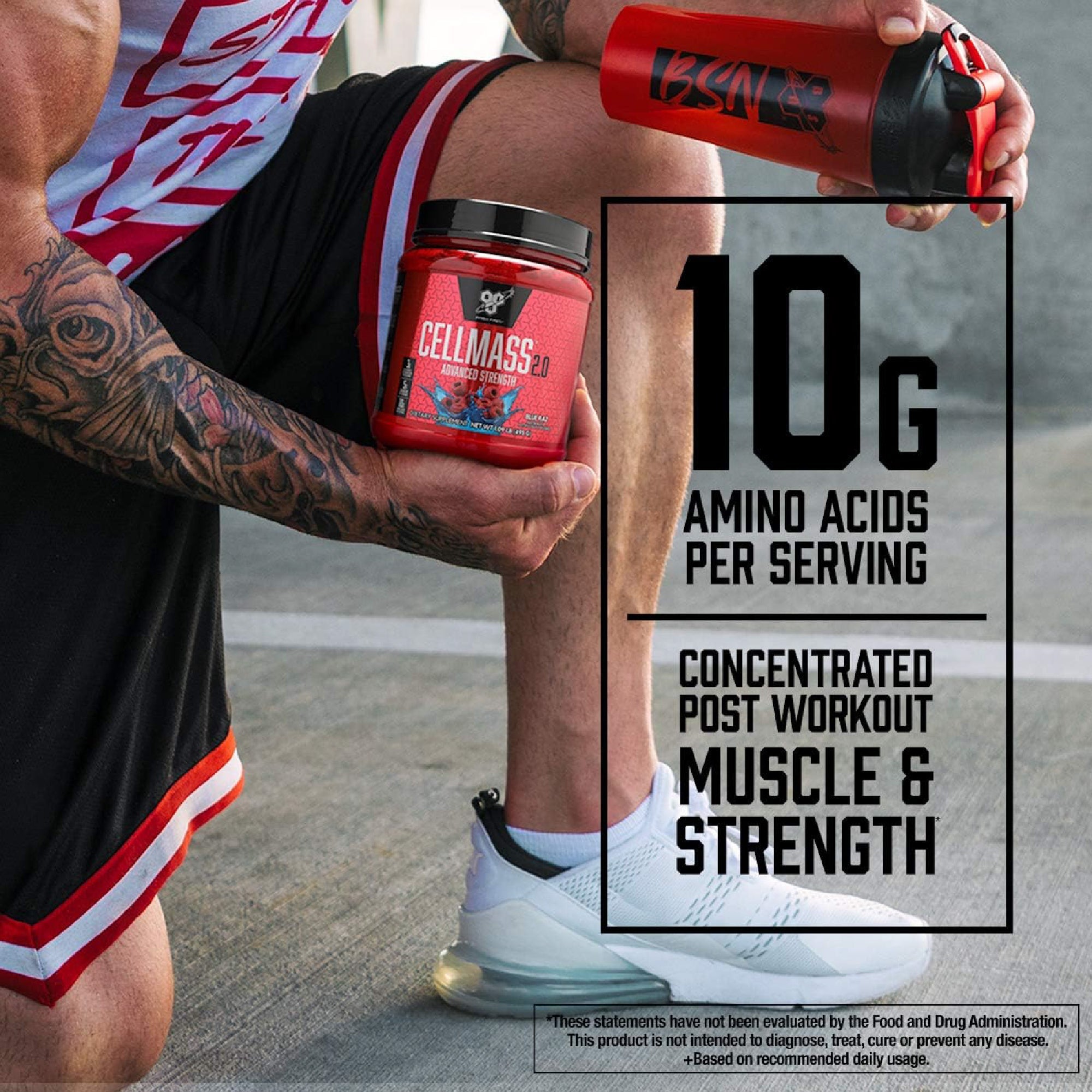 BSN Cell Mass 2.0 amino asit profili - 10gr BCAA, kreatin ve glutamin ile kas kütlesi artışı desteği