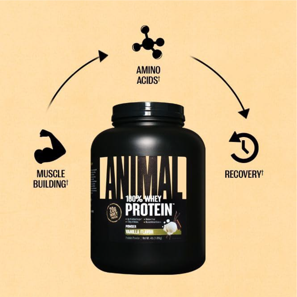 Animal 100% Whey Protein Tozu 907g - 1.81kg Universal Nutrition