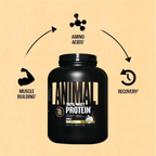 Animal 100% Whey Protein Tozu 907g - 1.81kg Universal Nutrition