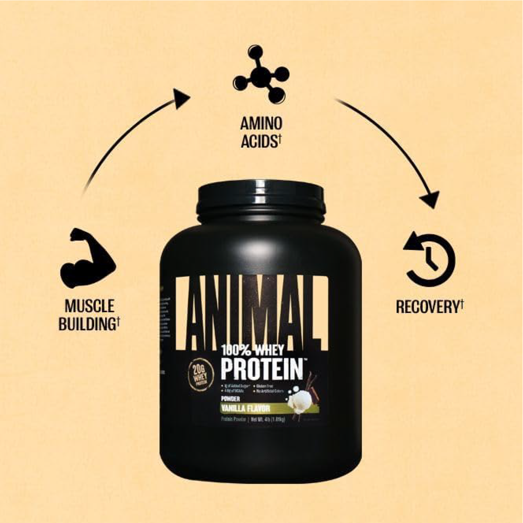 Animal 100% Whey Protein Tozu 907g - 1.81kg Universal Nutrition