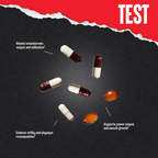 Animal Test Faydaları İnfografiği - Testosteron Artışı Kas Gelişimi Güç