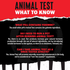 Animal Test Advanced Formula - Tongkat Ali Araşidonik Asit Yohimbe İçerik