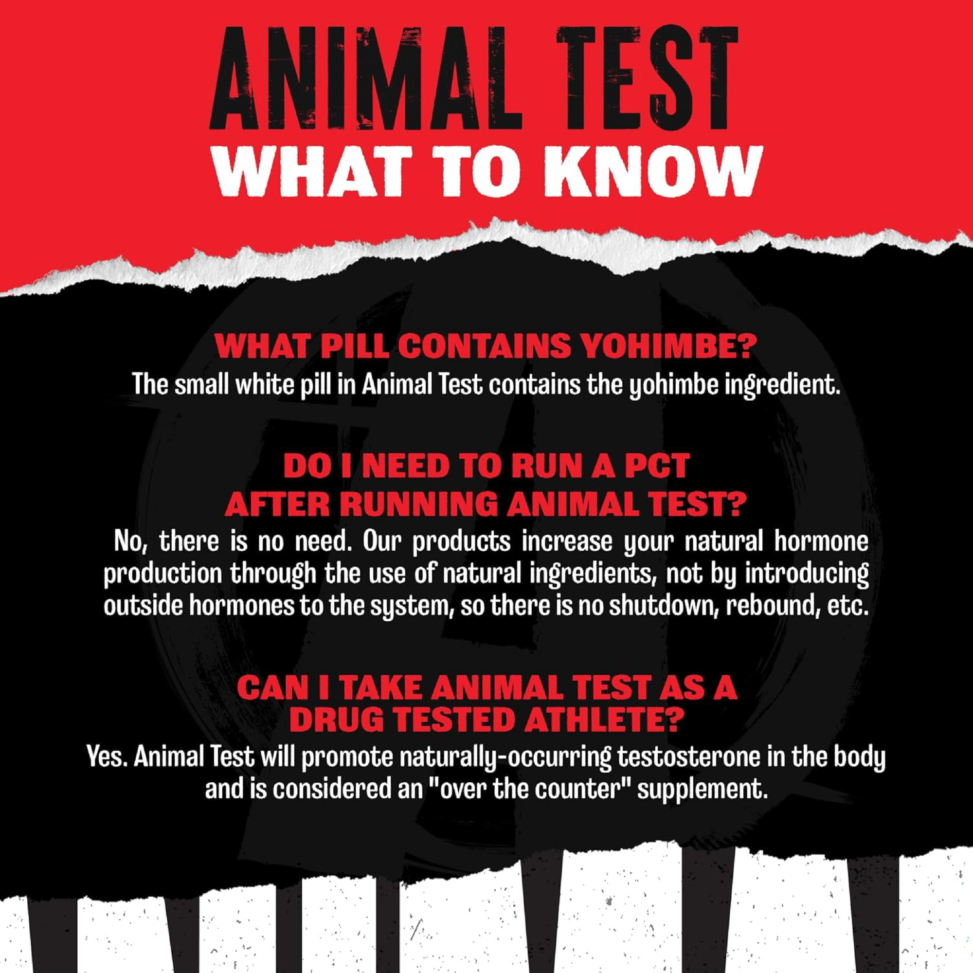 Animal Test Advanced Formula - Tongkat Ali Araşidonik Asit Yohimbe İçerik