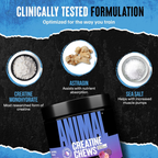 Animal Creatine Chews 120 Tablet - Çiğnenebilir Kreatin Takviyesi