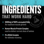Animal, Nitro® EAA, Complete Spectrum of Essential Amino Acids, 44 Packs