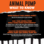 Animal Pump Pre-Workout ( Kreatinli ) Pill Packs / 30 Packs