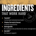 Animal TNT+ Aktif İçerikler - Testofen Tribulus Ashwagandha Nitrosigine