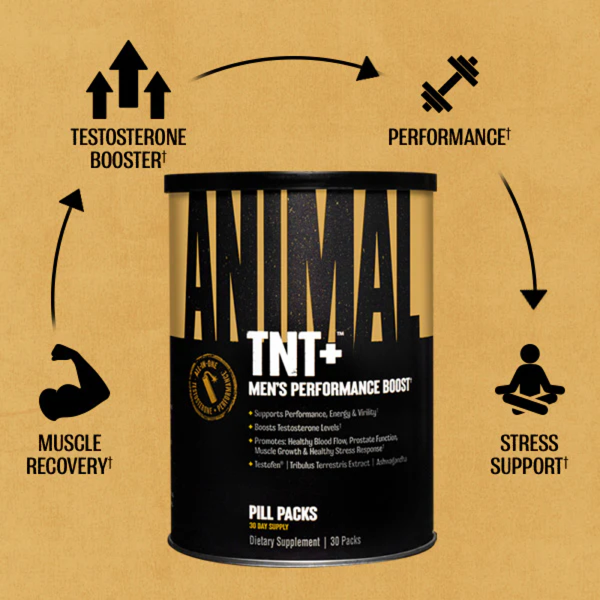 Animal TNT+ Performance Muscle Recovery Stres Support - Erkeklere Özel Takviye