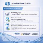 İn Science Nutrition Saf L-Carnitine Toz 2500 Mg 150 gr (60 Servis)