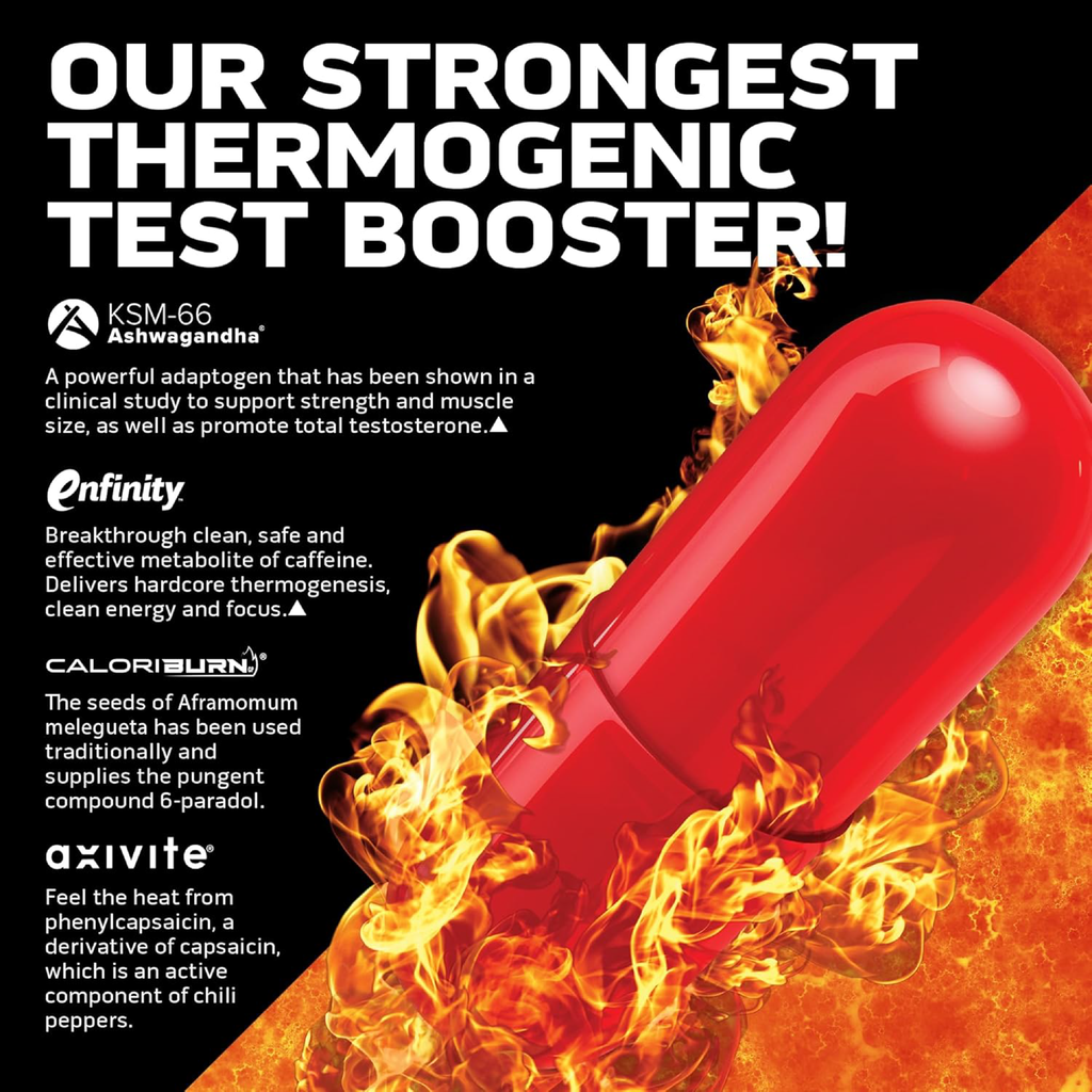 MuscleTech AlphaTest Thermo XTR Testosteron Booster Yağ Yakıcı 90 Kapsül