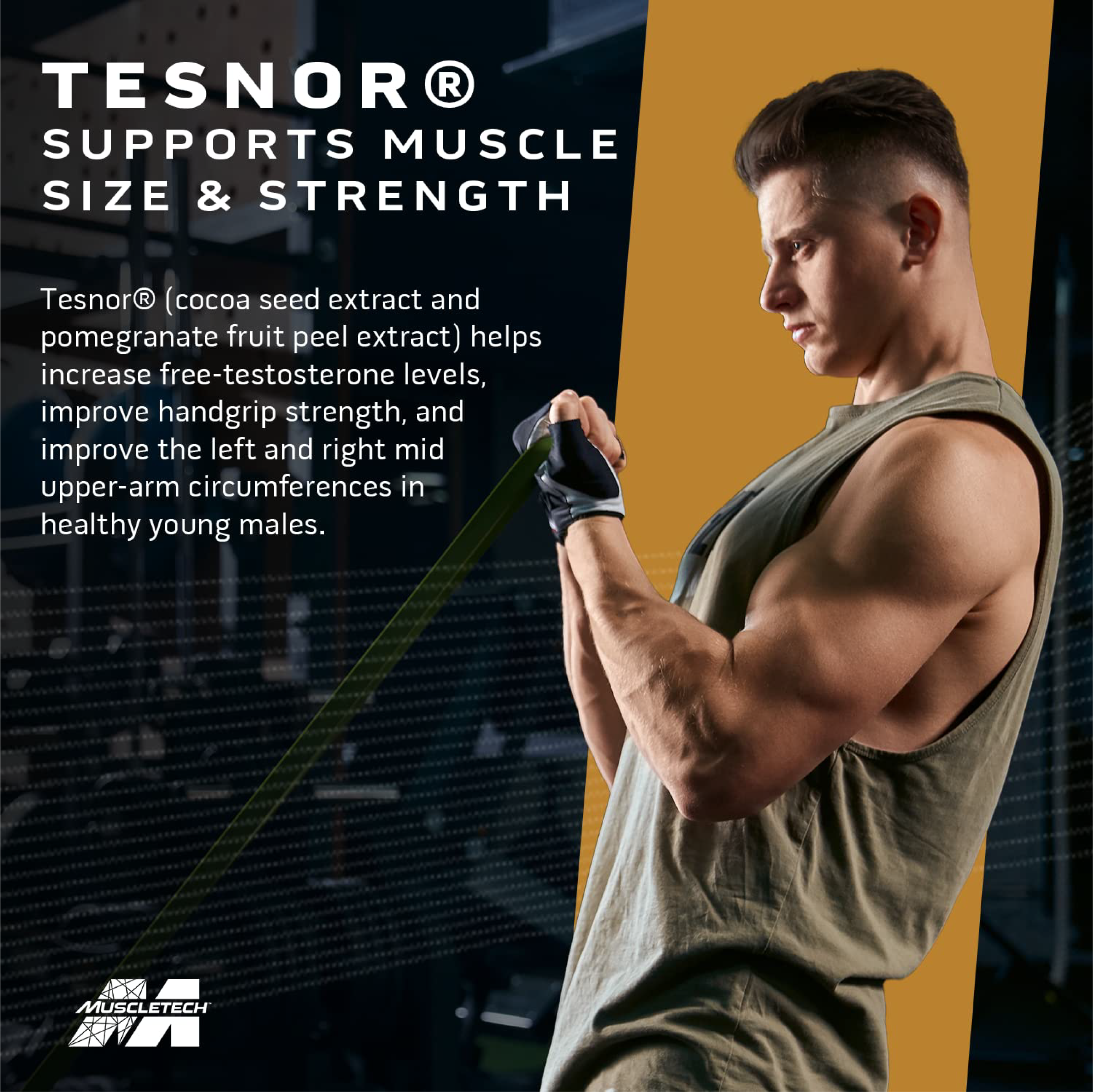 MuscleTech Test HD Elite Testosteron Güçlendirici 120 Kapsül